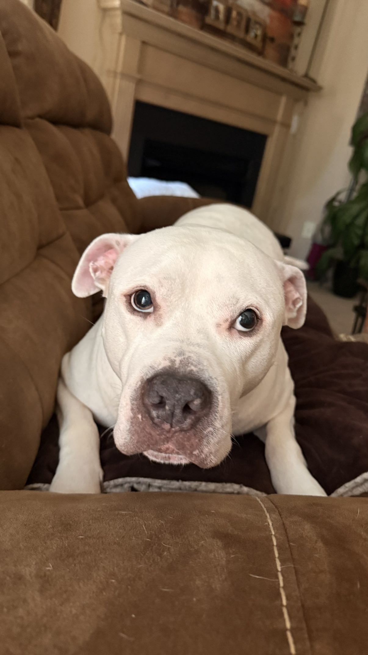 julia.filippo snapchat image archive image