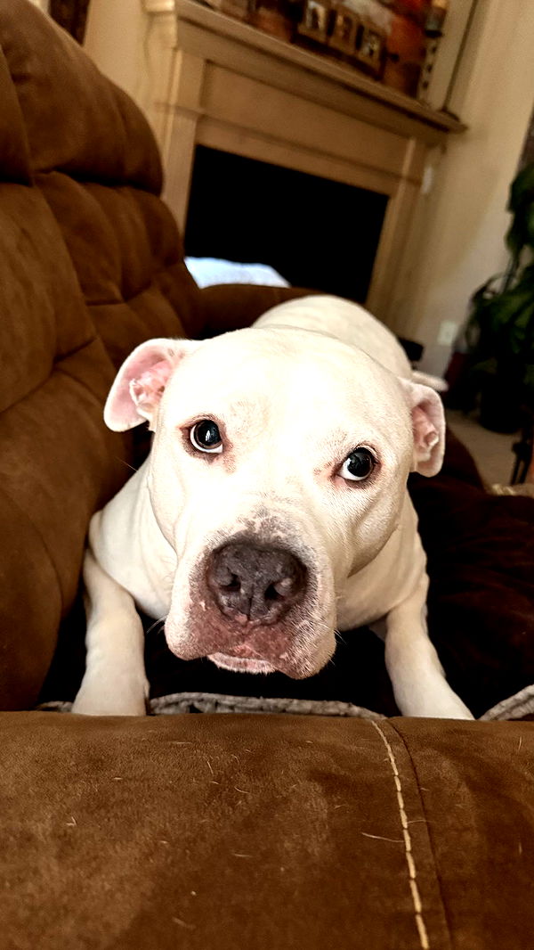 julia.filippo image ~ Altpins