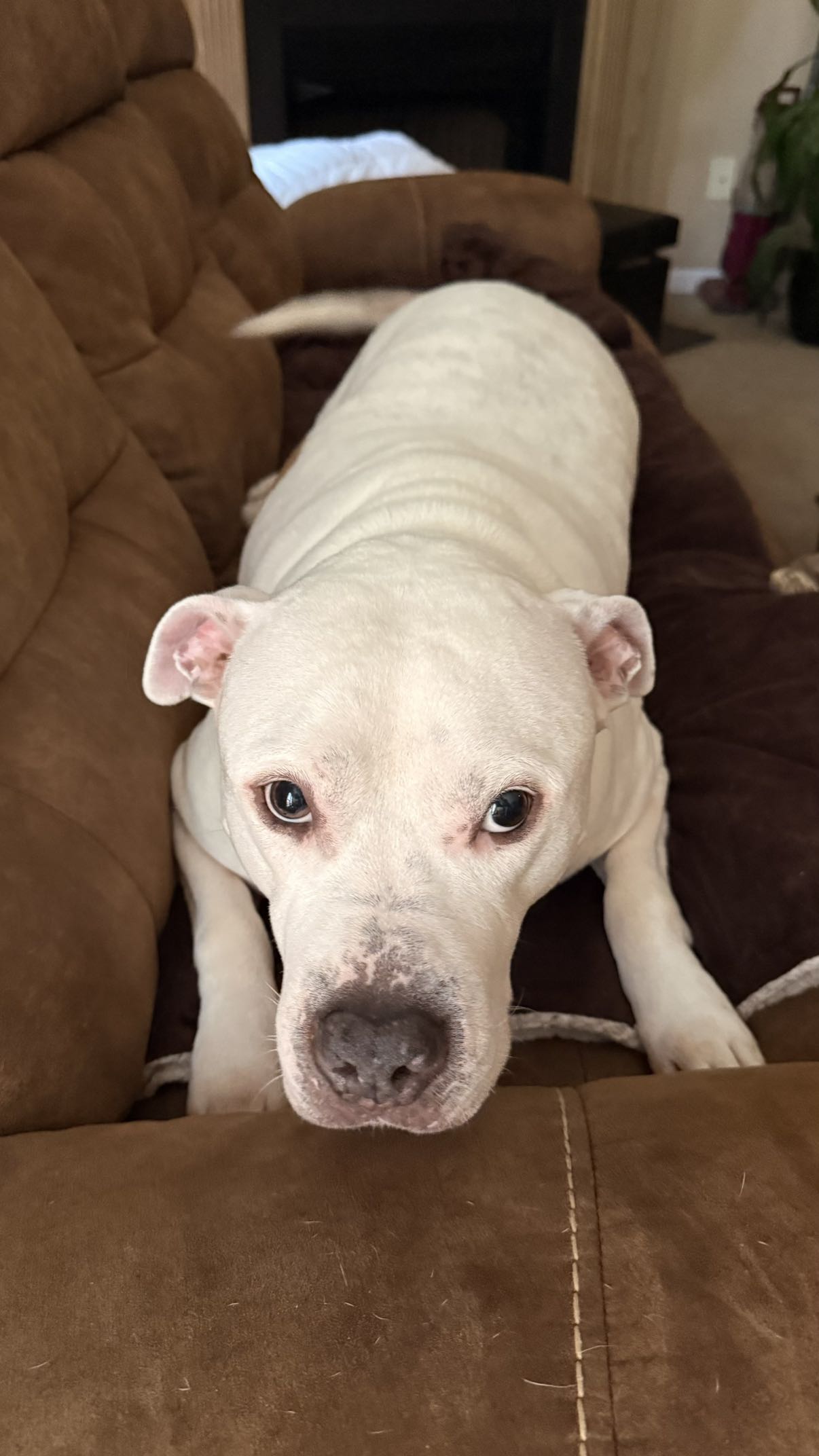 julia.filippo snapchat image archive image