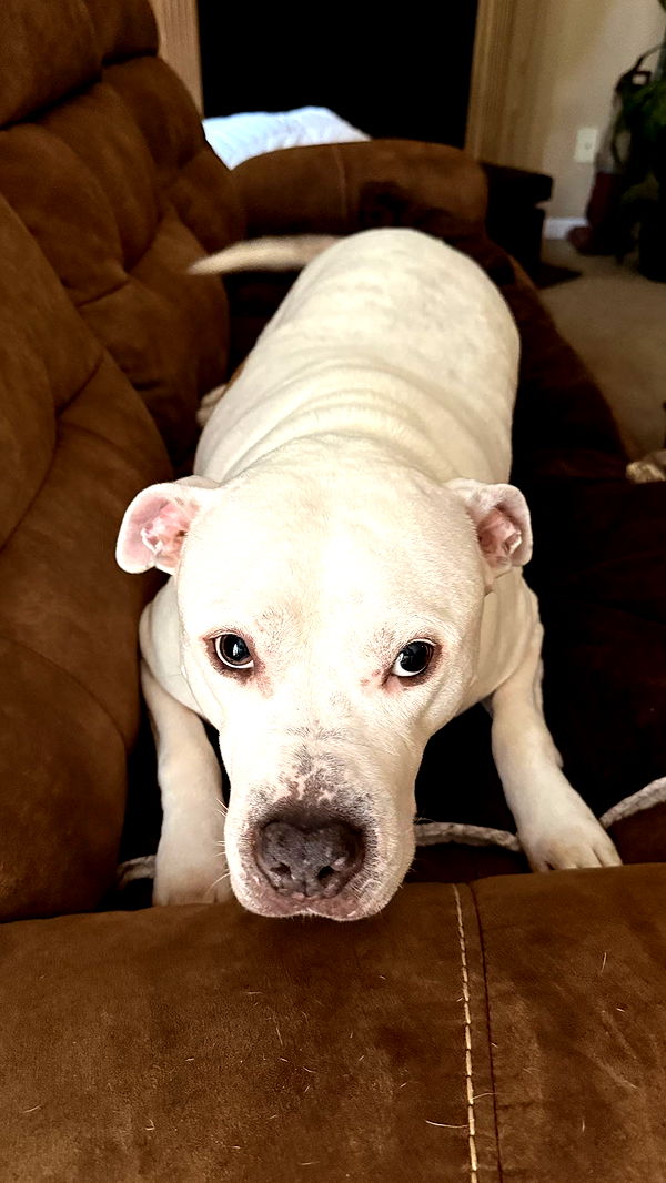 julia.filippo image ~ Altpins