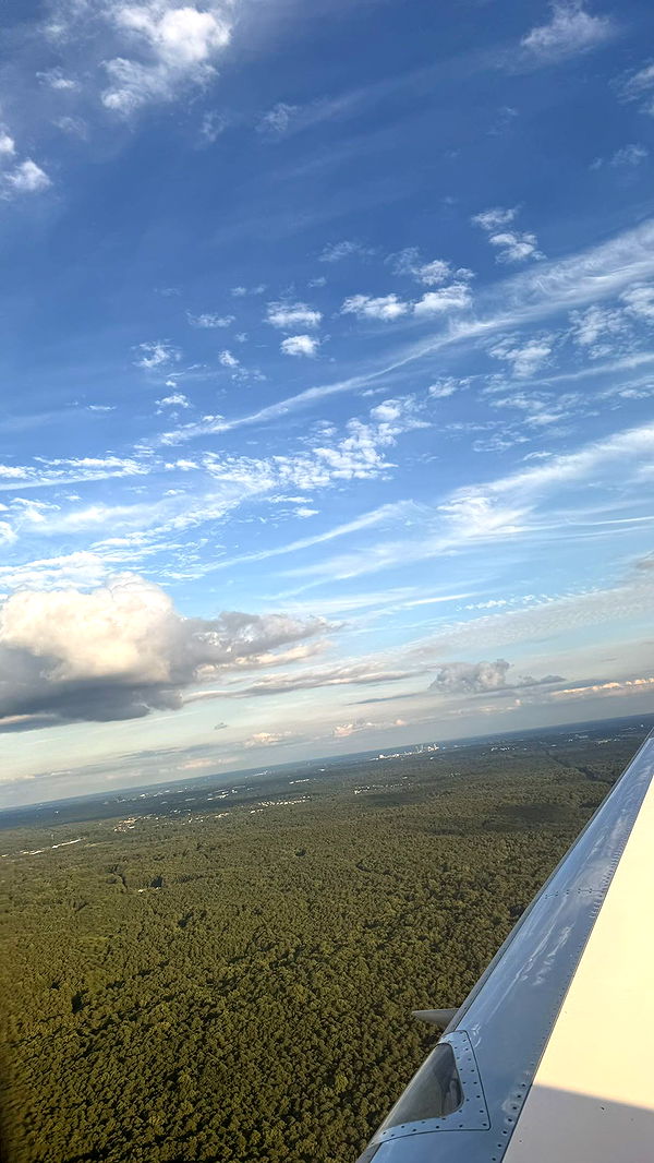 julia.filippo image ~ Altpins