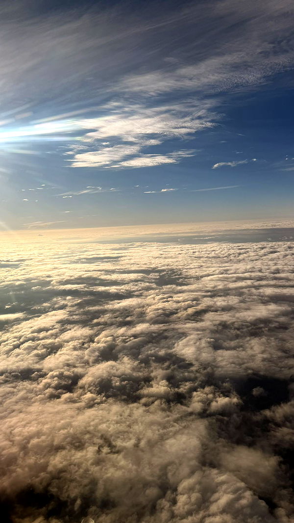 julia.filippo image ~ Altpins