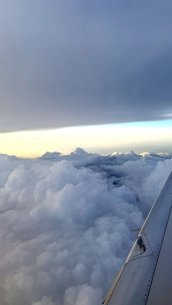 julia.filippo image ~ Altpins