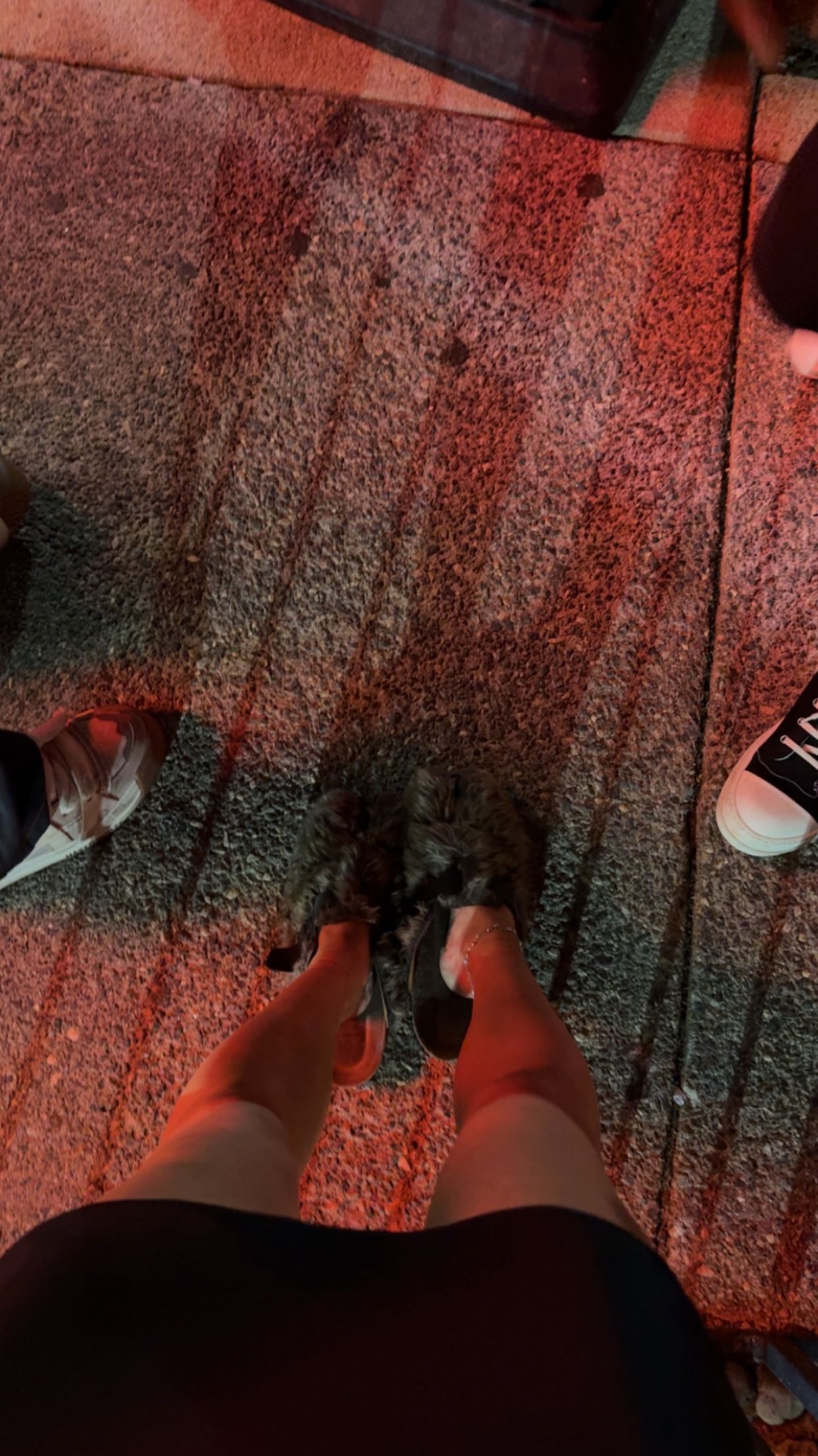 julia.filippo snapchat image archive image