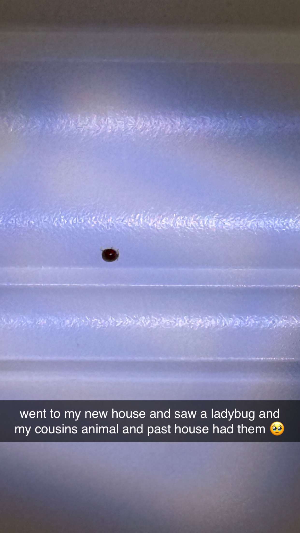 julia.filippo snapchat image archive image