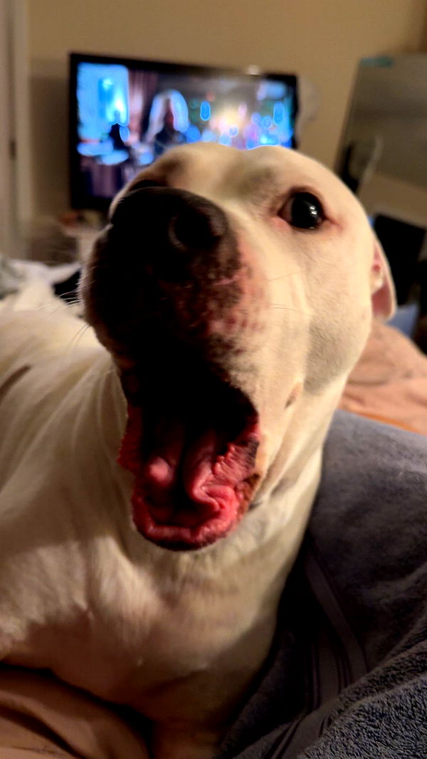 julia.filippo image ~ Altpins