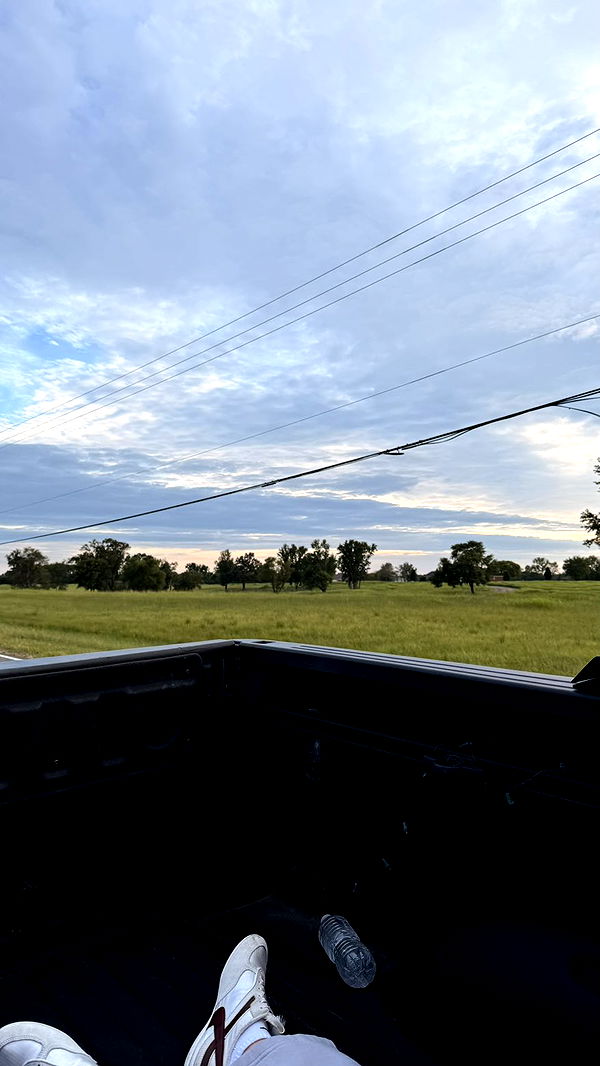 julia.filippo image ~ Altpins