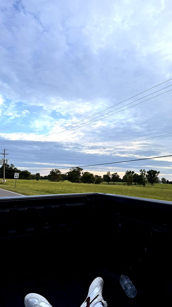 julia.filippo image ~ Altpins