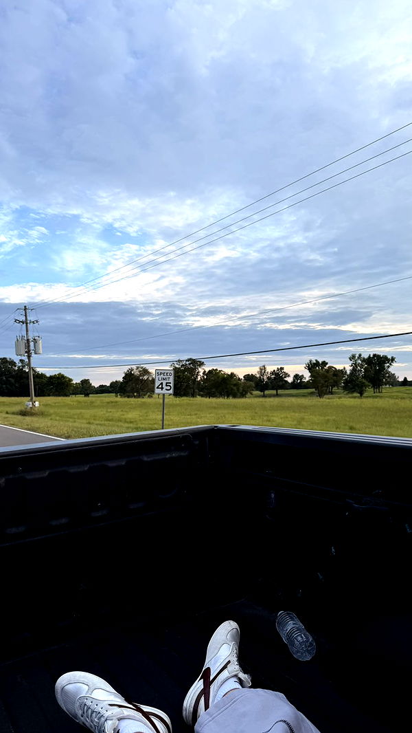 julia.filippo image ~ Altpins