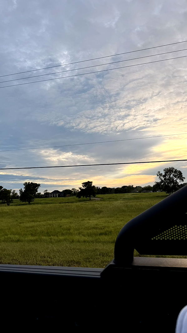 julia.filippo image ~ Altpins