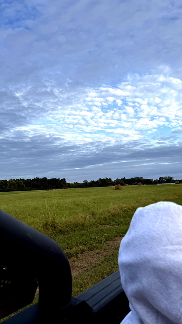 julia.filippo image ~ Altpins