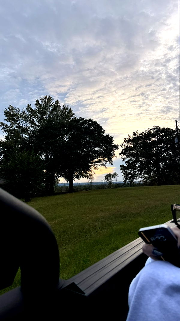 julia.filippo image ~ Altpins