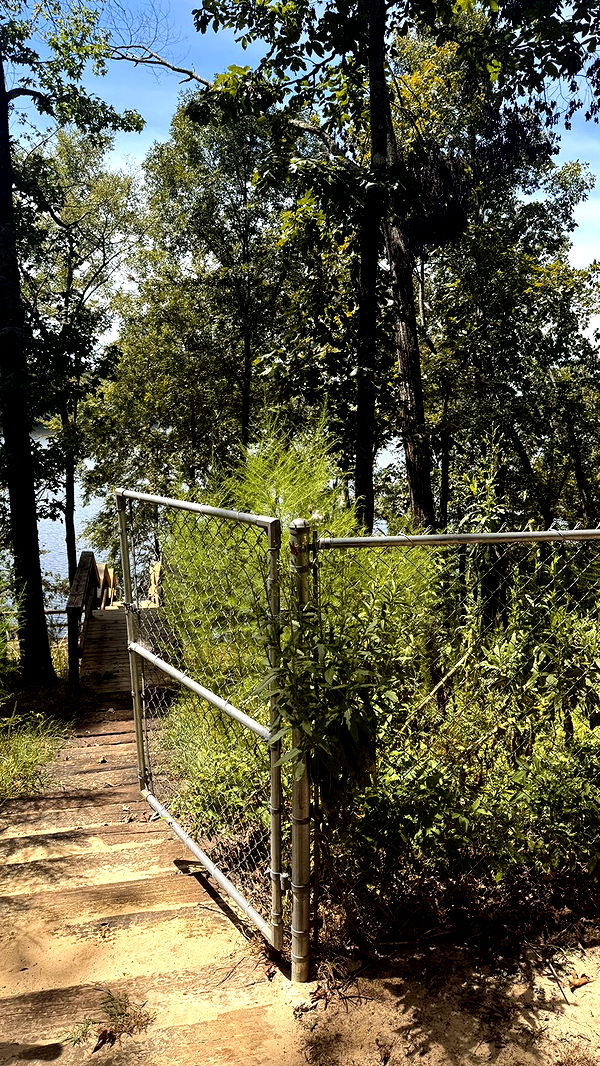 julia.filippo image ~ Altpins