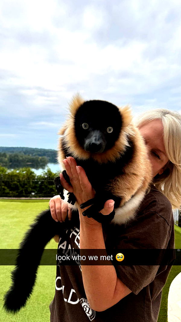 julia.filippo image ~ Altpins