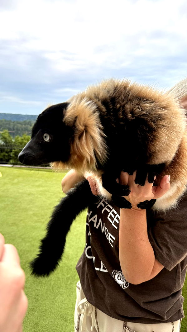 julia.filippo image ~ Altpins