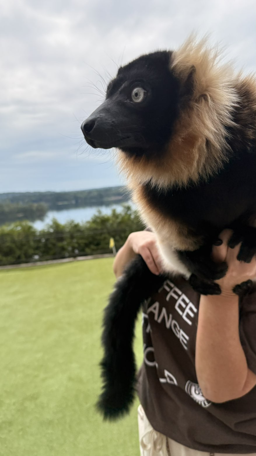 julia.filippo snapchat image archive image