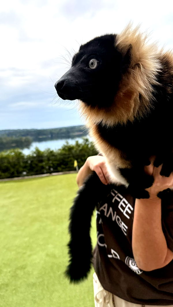 julia.filippo image ~ Altpins