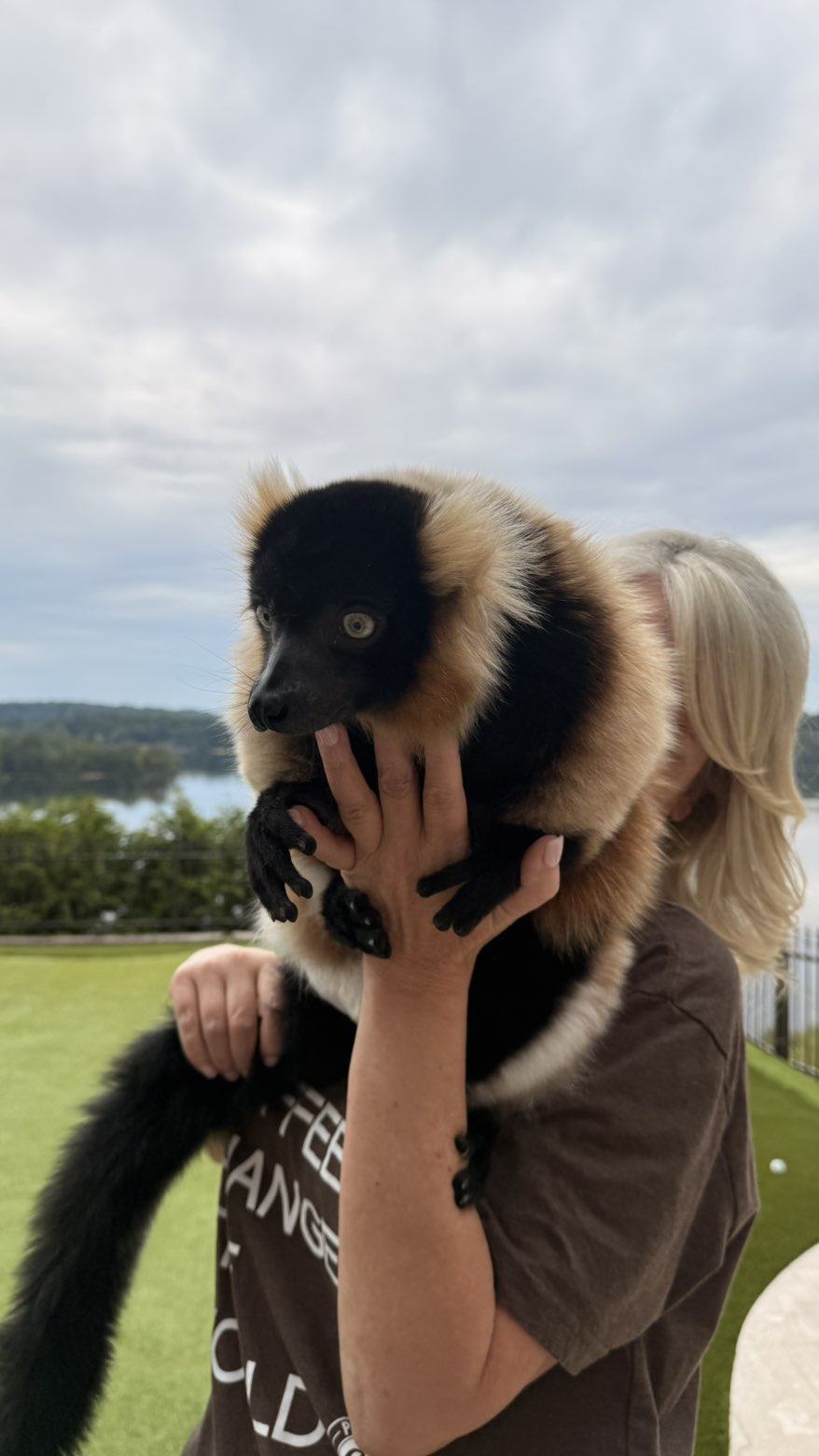 julia.filippo snapchat image archive image