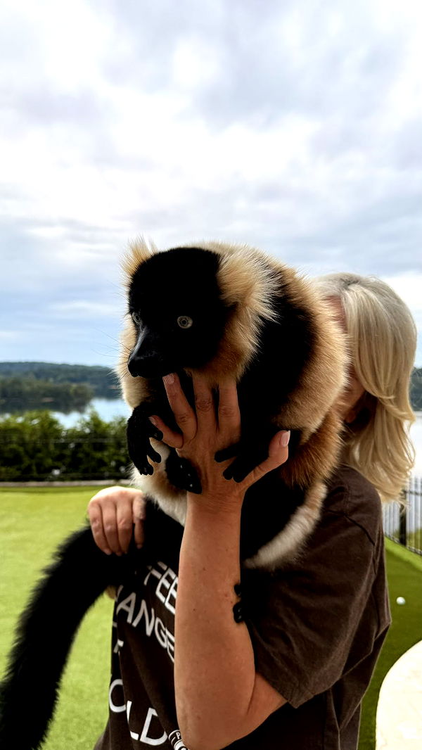 julia.filippo image ~ Altpins