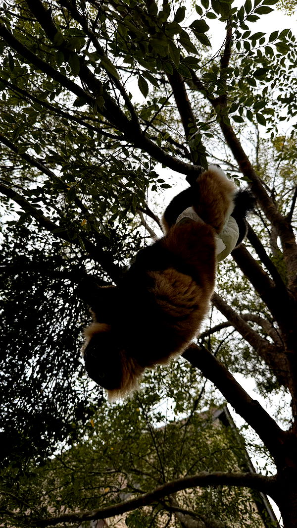 julia.filippo image ~ Altpins