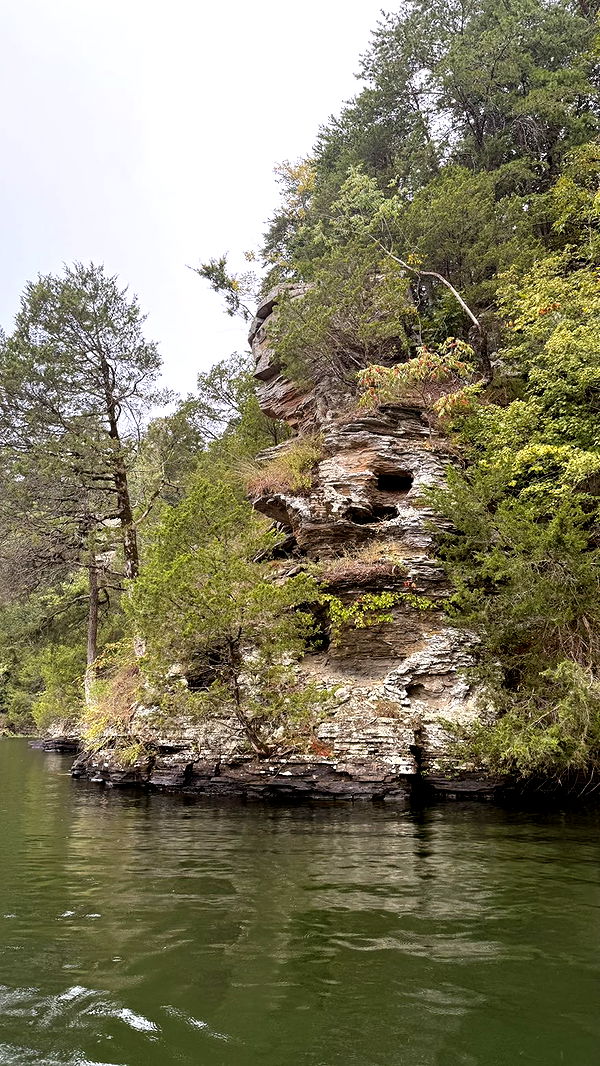 julia.filippo image ~ Altpins