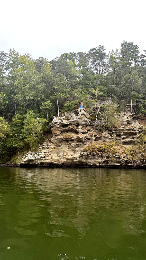 julia.filippo image ~ Altpins