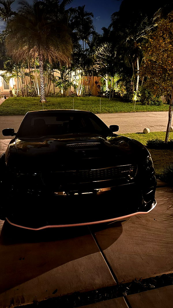 julia.filippo image ~ Altpins