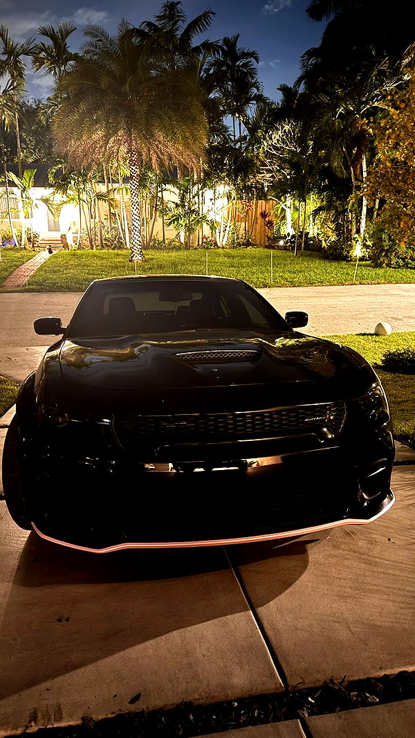 julia.filippo image ~ Altpins