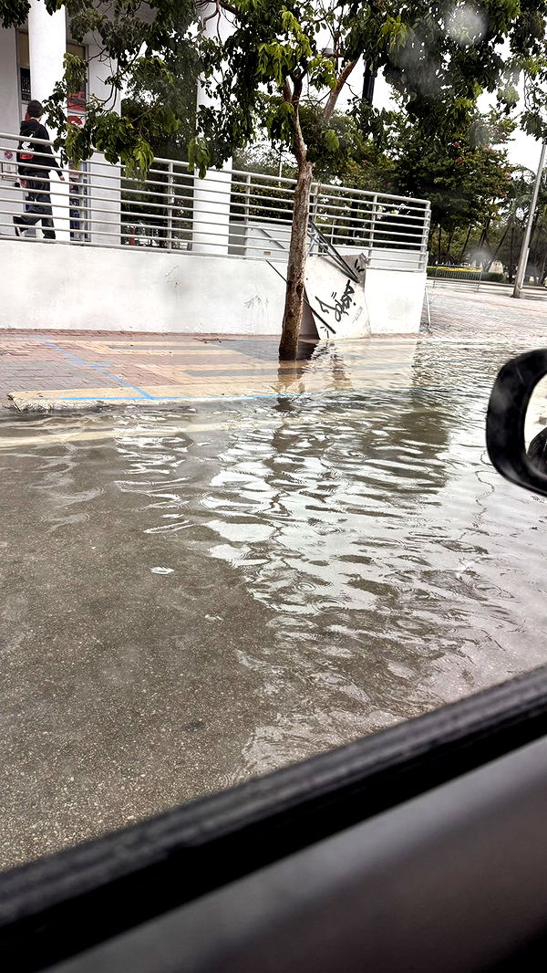 julia.filippo image ~ Altpins