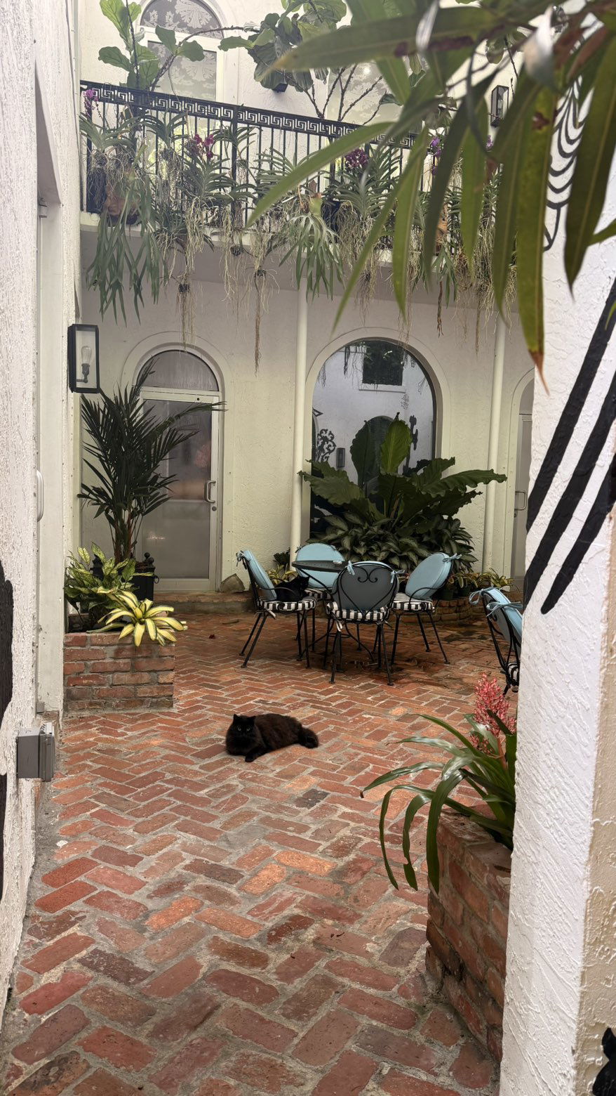 julia.filippo snapchat image archive image