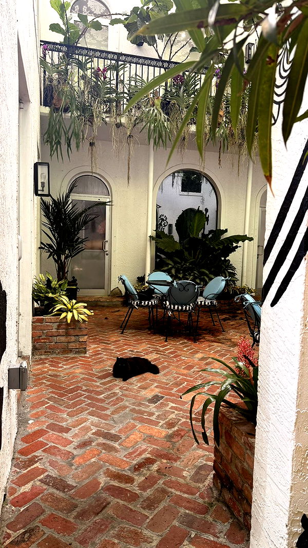 julia.filippo image ~ Altpins