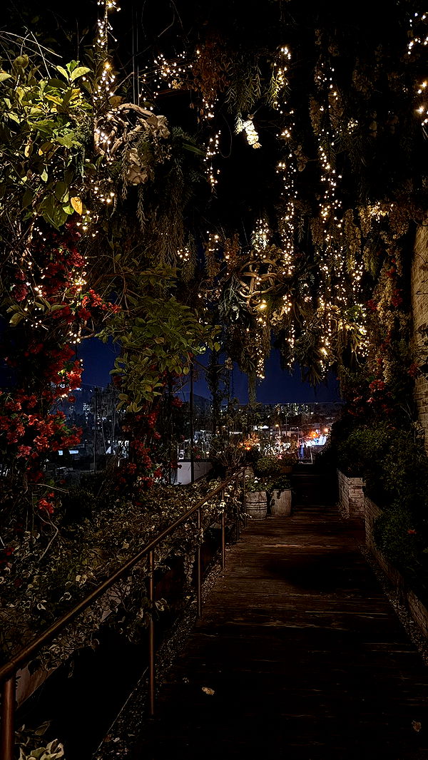 julia.filippo image ~ Altpins