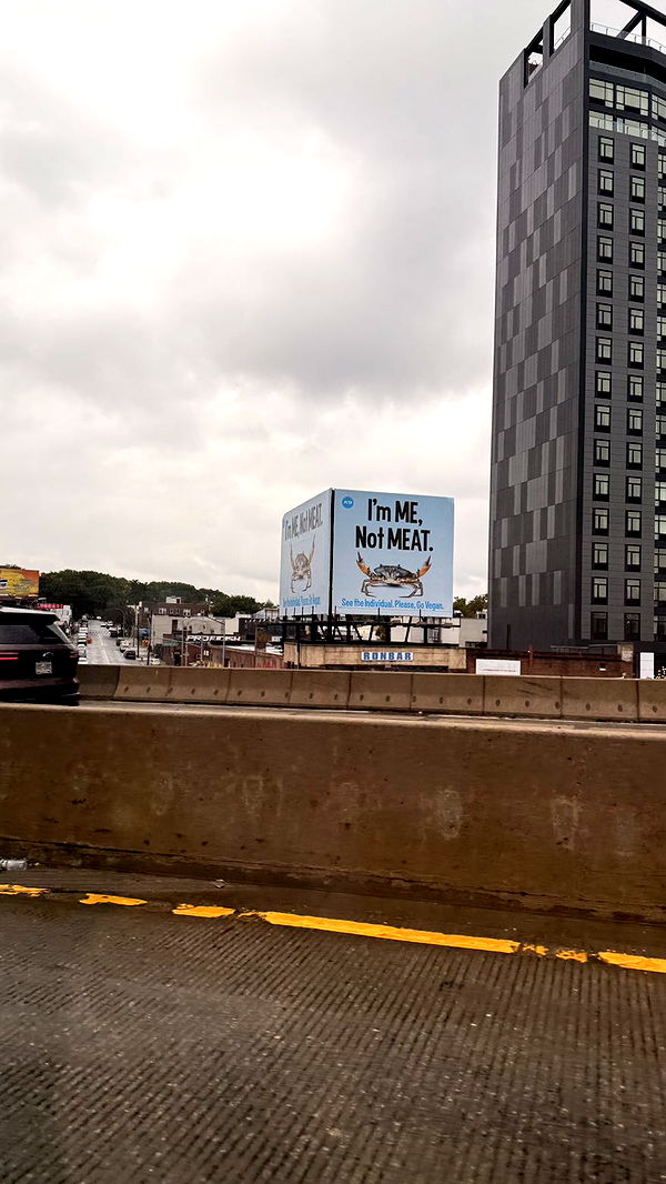 julia.filippo image ~ Altpins