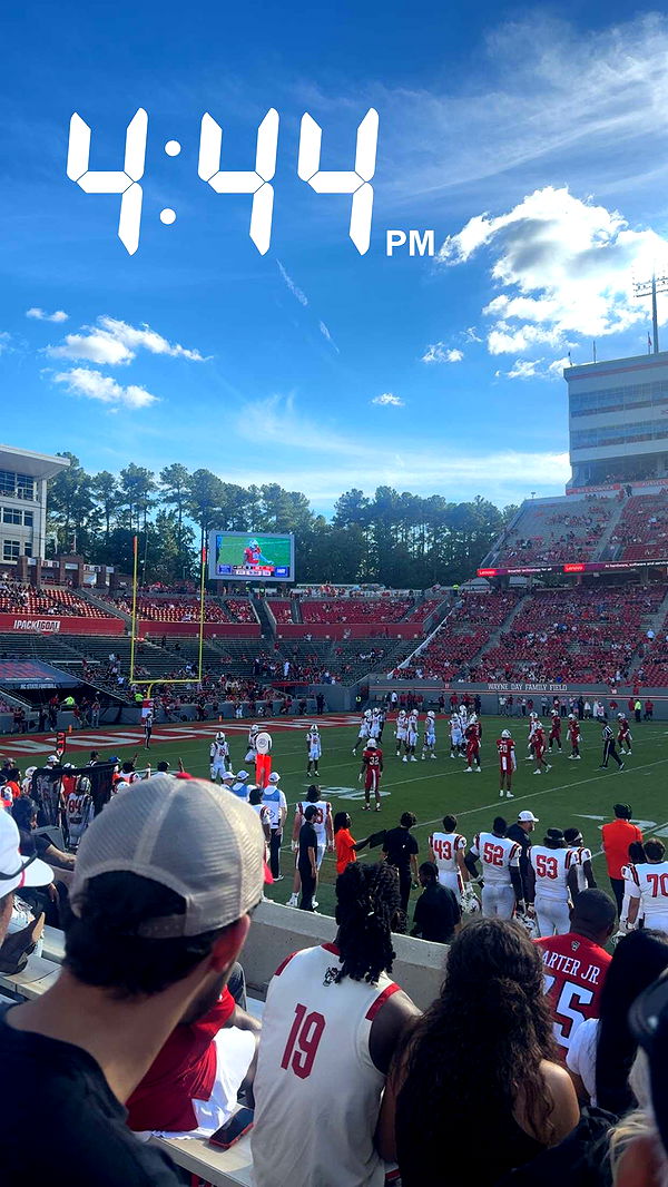 julia.filippo image ~ Altpins