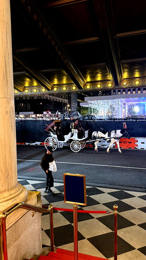 julia.filippo image ~ Altpins