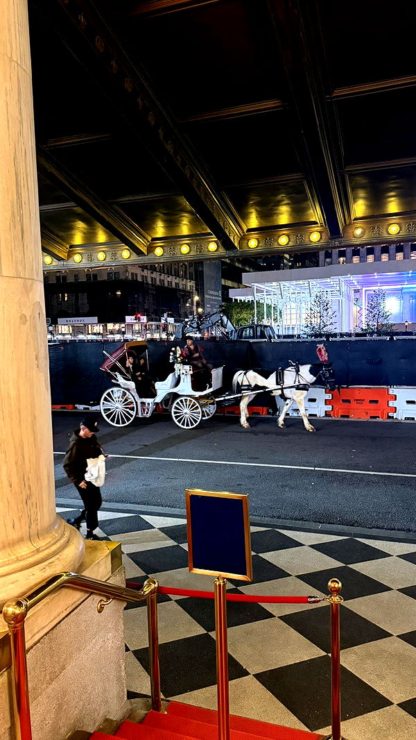 julia.filippo image ~ Altpins