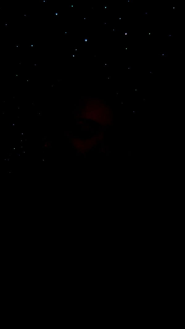 julia.filippo image ~ Altpins