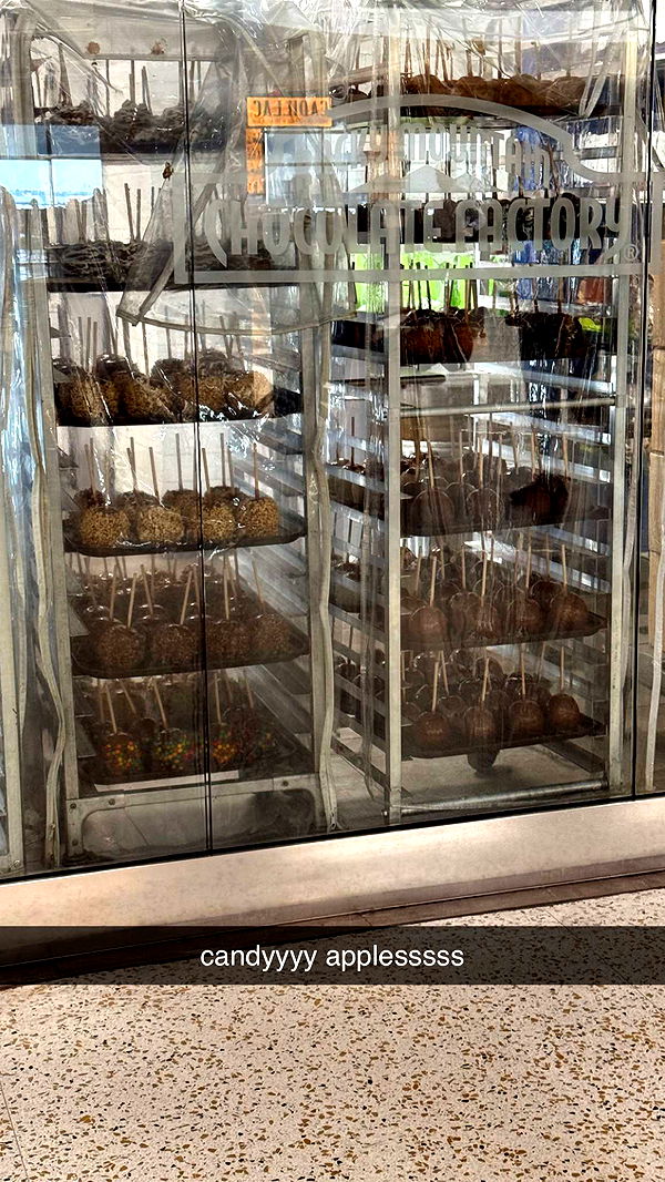 julia.filippo image ~ Altpins