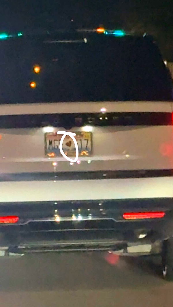 julia.filippo image ~ Altpins