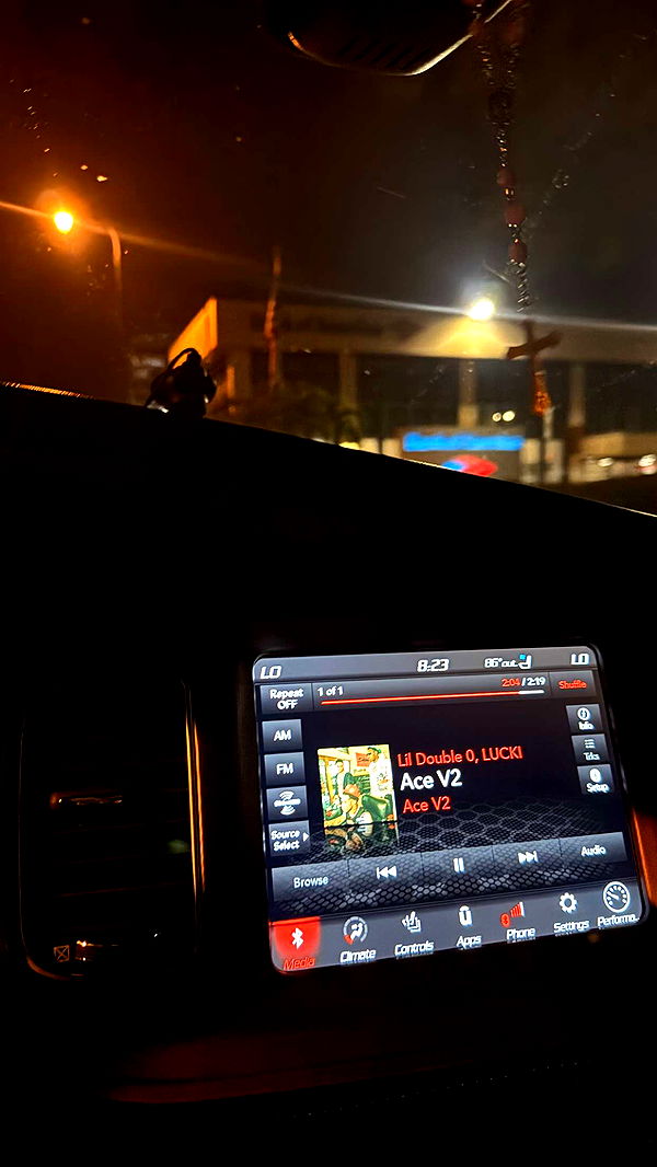 julia.filippo image ~ Altpins