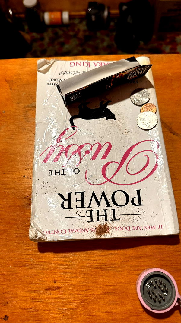 julia.filippo image ~ Altpins