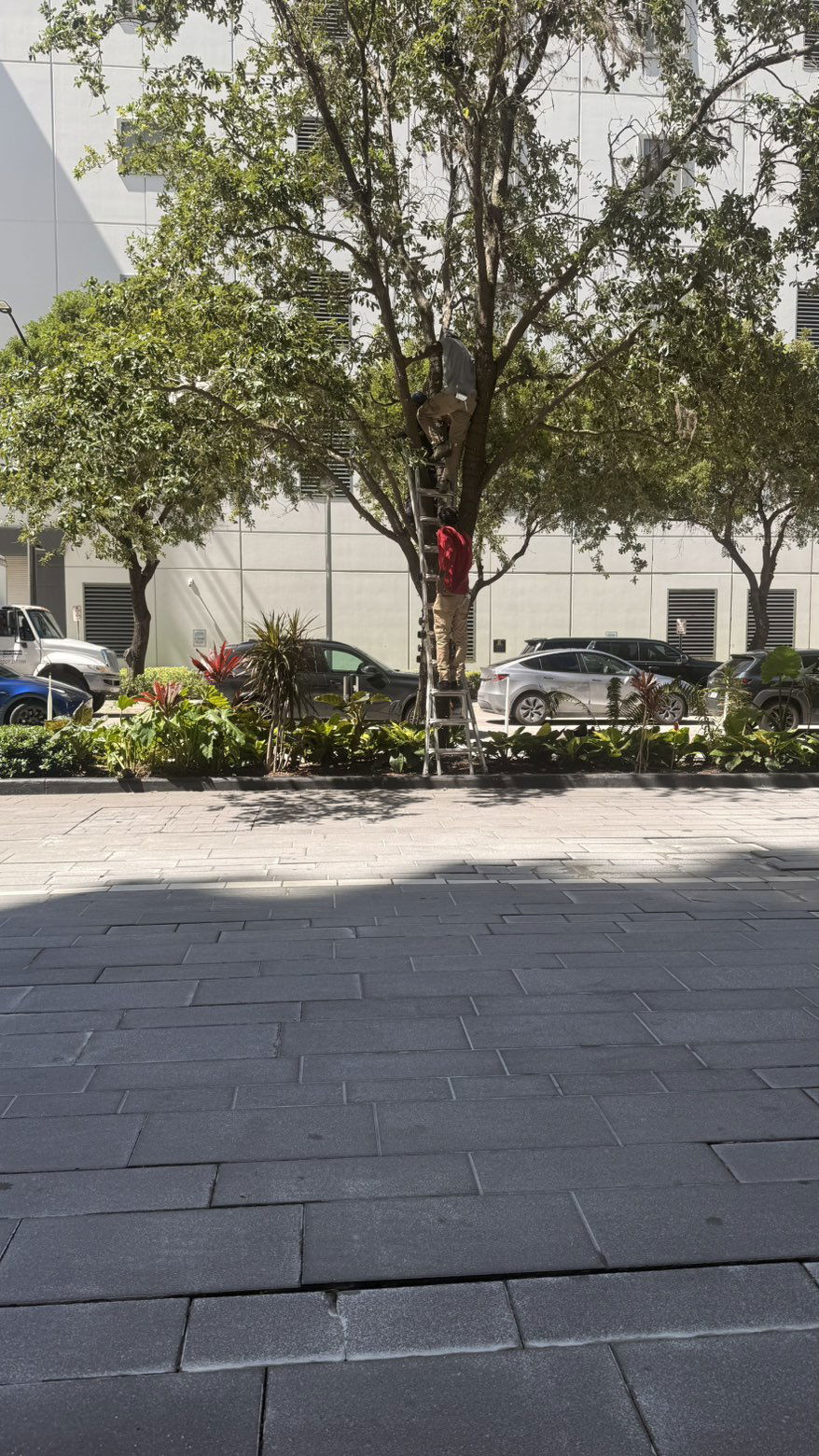 julia.filippo snapchat image archive image