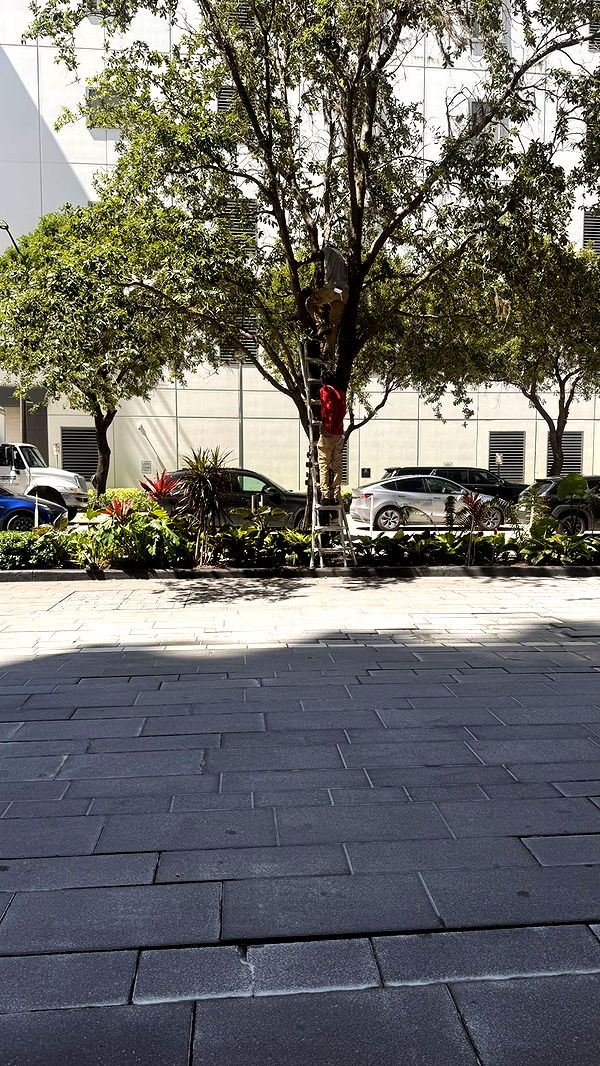 julia.filippo image ~ Altpins