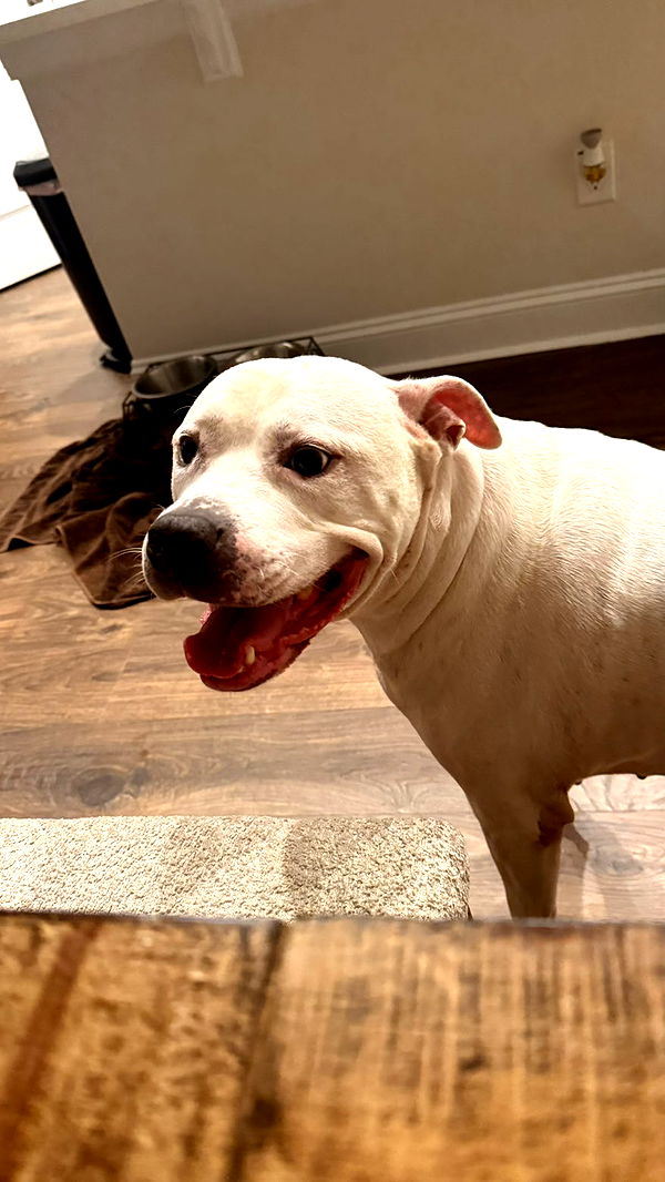 julia.filippo image ~ Altpins