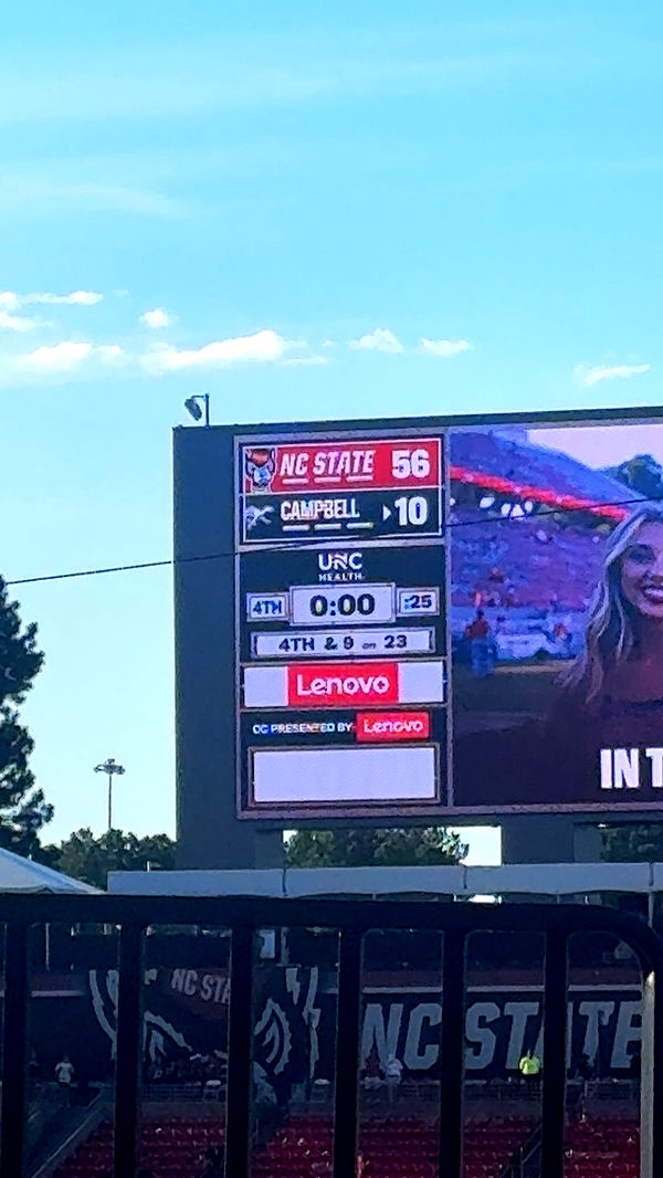 julia.filippo image ~ Altpins