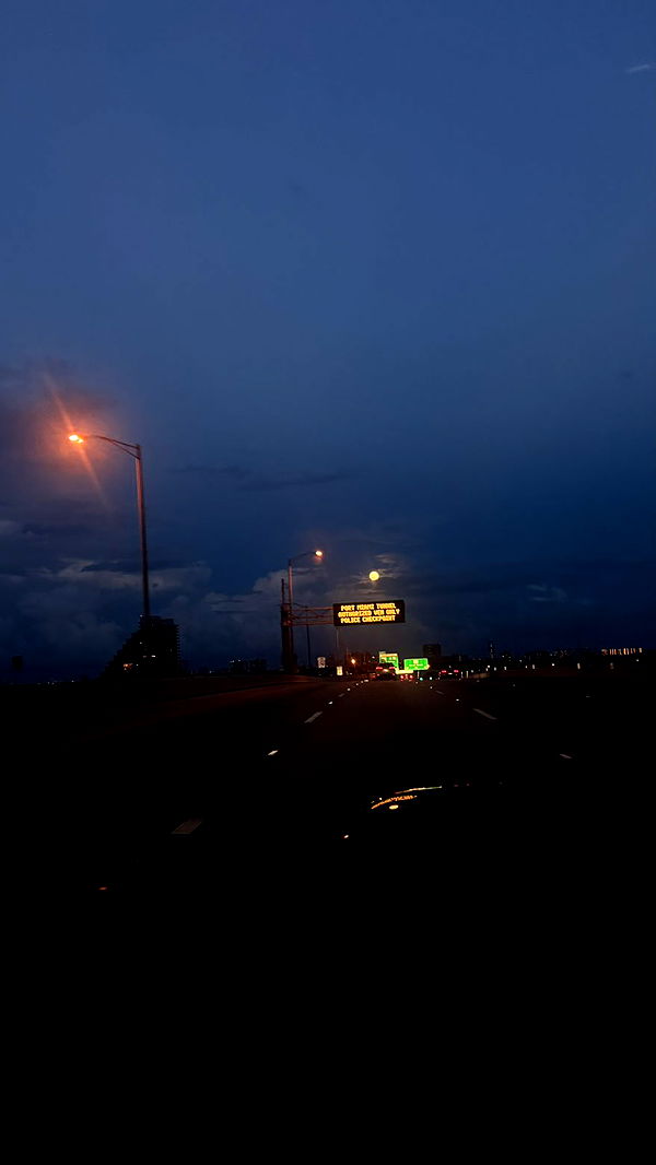 julia.filippo image ~ Altpins