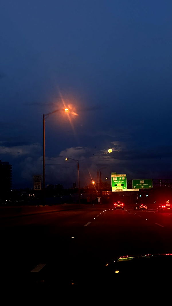 julia.filippo image ~ Altpins