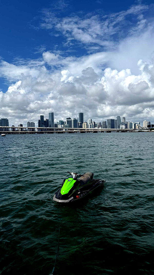 julia.filippo image ~ Altpins