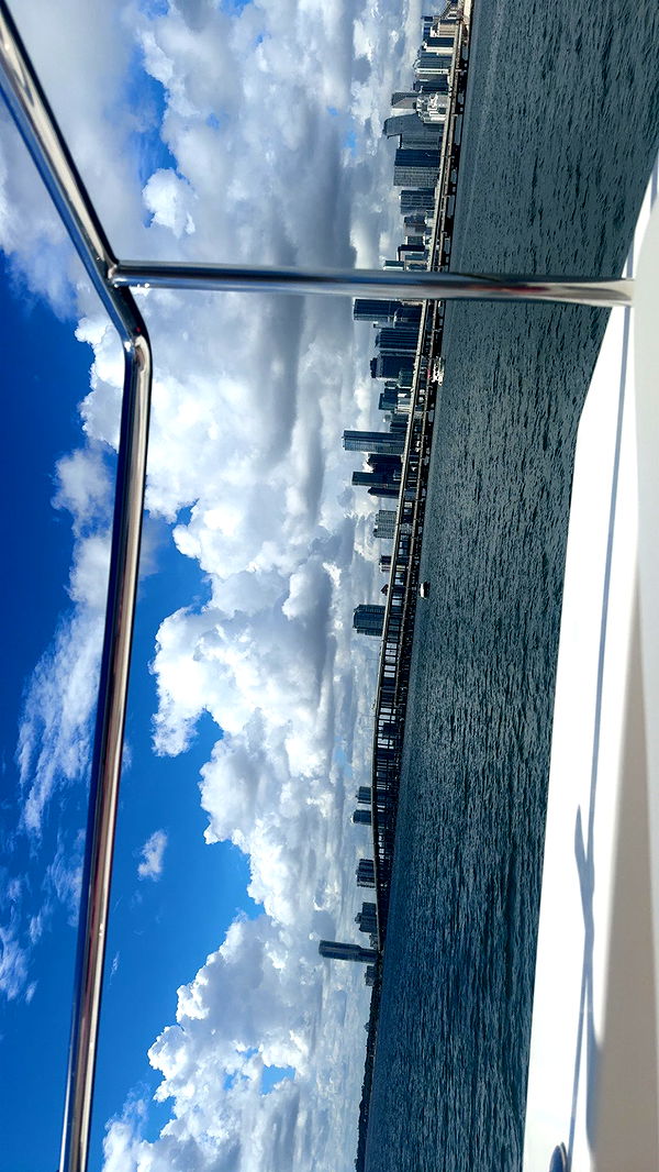 julia.filippo image ~ Altpins