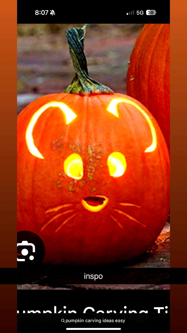 julia.filippo image ~ Altpins